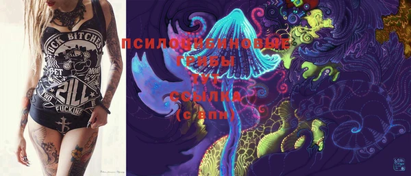 прущие крисы Абаза