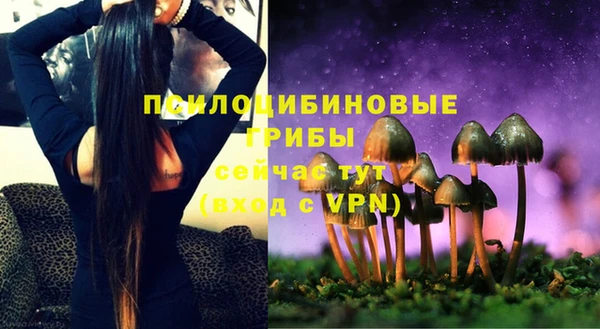 МДПВ Абинск