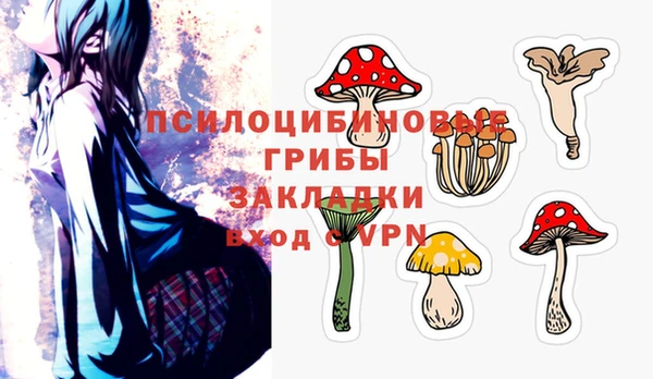 МДПВ Абинск