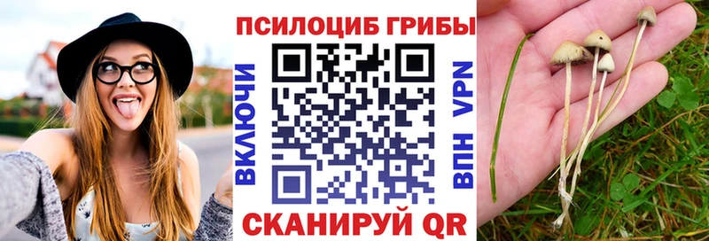 Псилоцибиновые грибы MAGIC MUSHROOMS  сайты даркнета какой сайт  Нариманов 